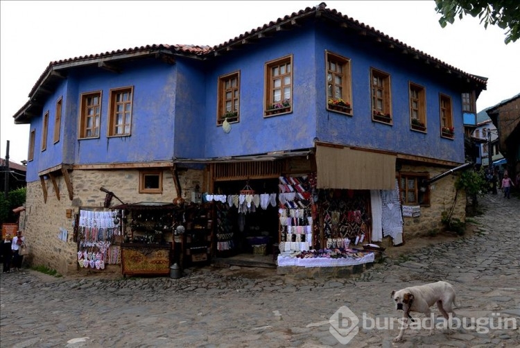 Bursa'da şehrin gürültüsünden uzak keyifli doğa gezileri...