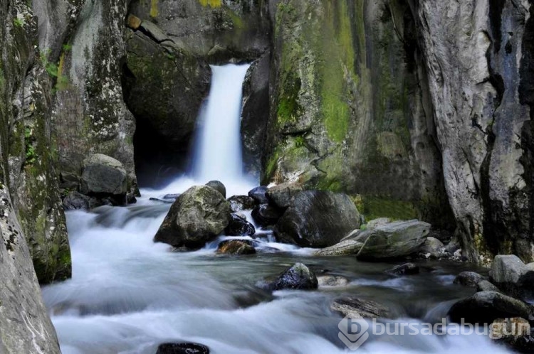 Bursa'da şehrin gürültüsünden uzak keyifli doğa gezileri...