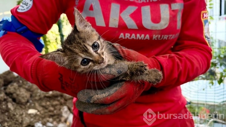 7 günlük yaşam mücadelesi! 168 saat sonra gökyüzüyle buluştu... 