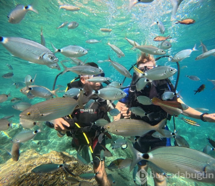 Marmaris'te dalış turizmine ilgi artıyor