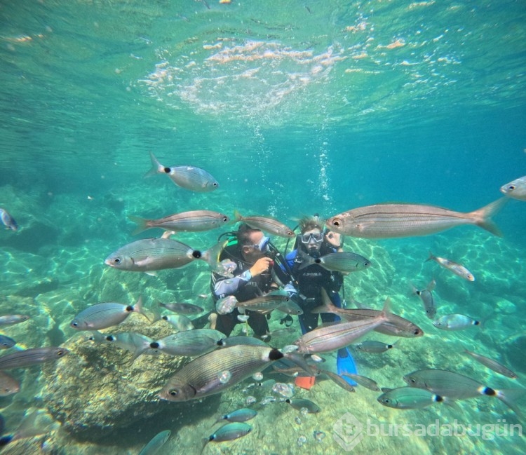 Marmaris'te dalış turizmine ilgi artıyor