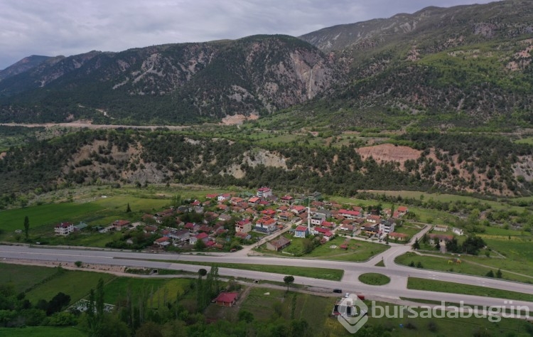 Önceki ve sonraki hali şoke etti! 10 gün içinde tamamen kurudu