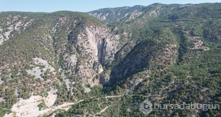 Önceki ve sonraki hali şoke etti! 10 gün içinde tamamen kurudu