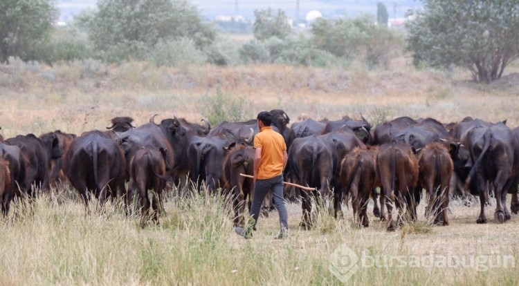Şok olacaksınız! Hangi şehrimiz Afrika'ya dödü