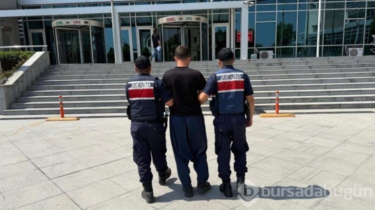 Yangınların oluşumuyla ilgili tutuklama kararı!