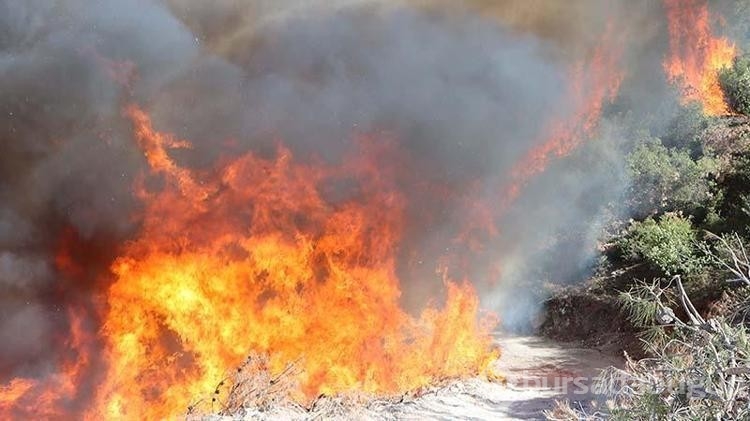 Yangınların oluşumuyla ilgili tutuklama kararı!