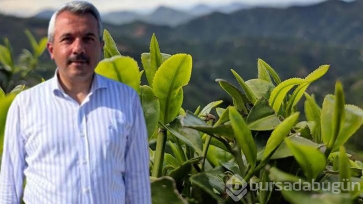 Çay üreticisine kötü haber!