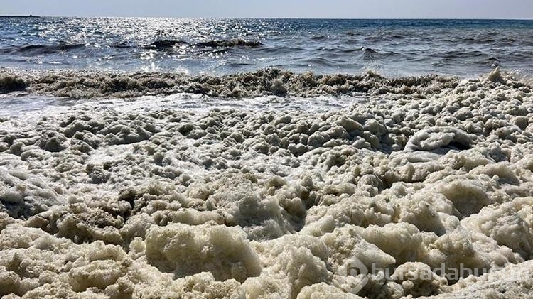 İskenderun Körfezi'nde beklenmeyen köpük!