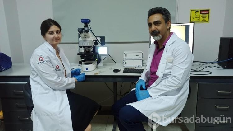 İskenderun Körfezi'nde beklenmeyen köpük!