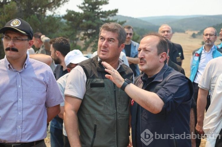 AFAD yangınla ilgili açıklamalarda bulundu...