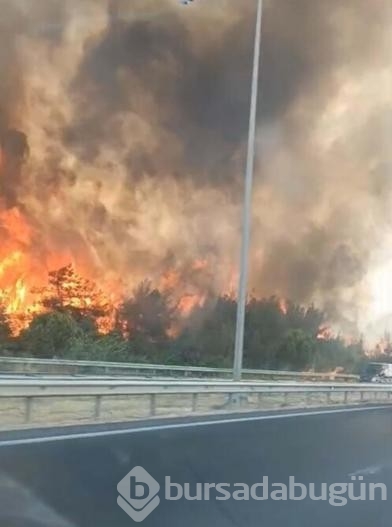 İzmir'de nedeni bilinmeyen bir yangın çıktı!