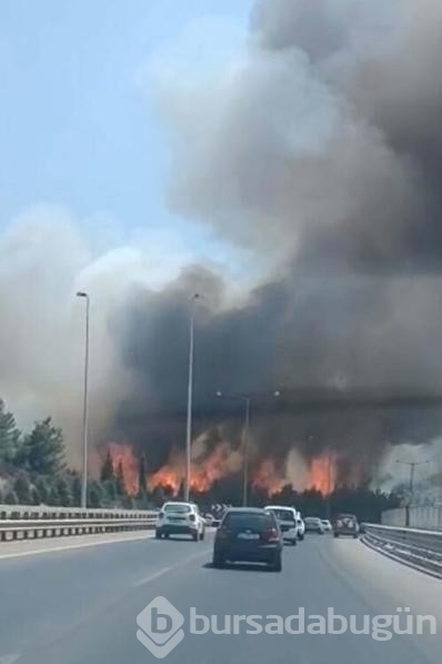 İzmir'de nedeni bilinmeyen bir yangın çıktı!