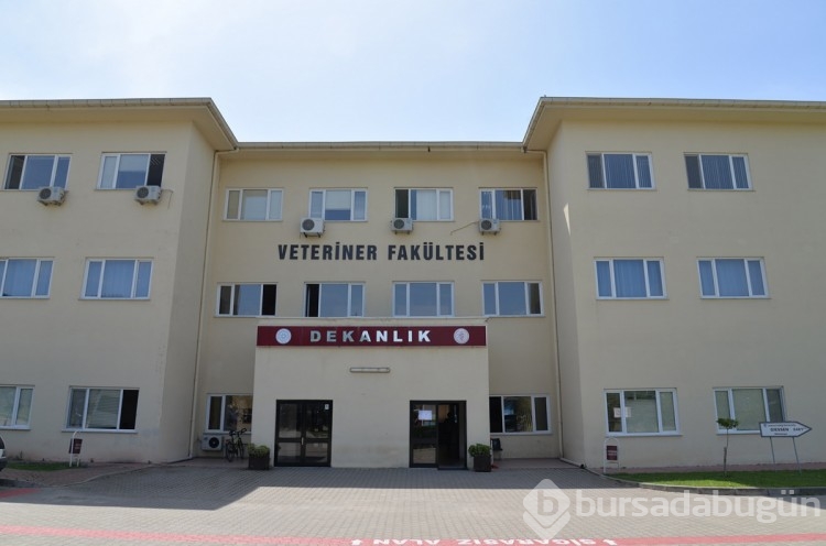 Bursa Uludağ Üniversitesi'nin en gözde bölümleri! Mezunları hemen iş buluyor