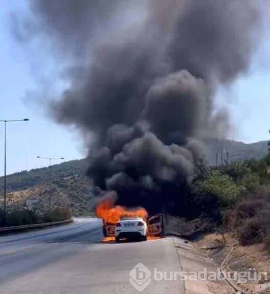 Araç'ta çıkan yangın makilik alana sıçradı!