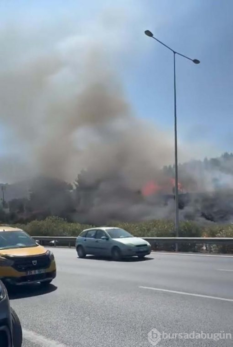 Araç'ta çıkan yangın makilik alana sıçradı!