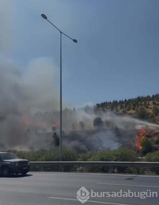 Araç'ta çıkan yangın makilik alana sıçradı!