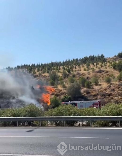 Araç'ta çıkan yangın makilik alana sıçradı!