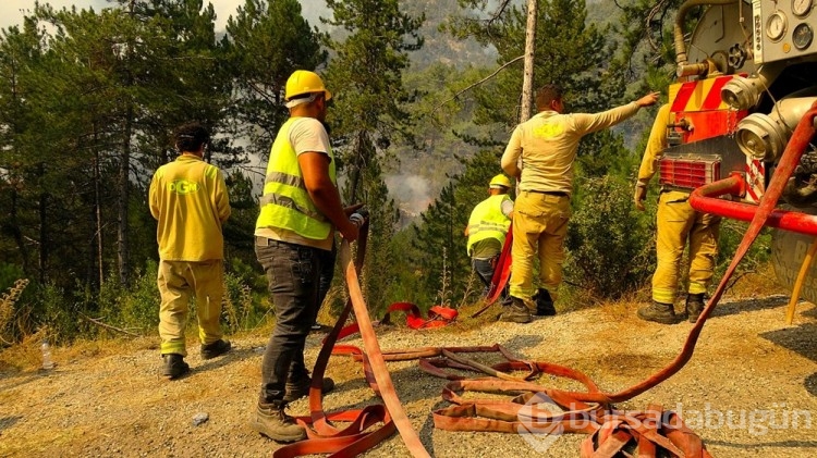 Orman yangınları ile ilgili iddialar ve gerçekler!
