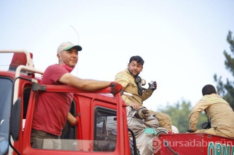 Karabük'teki orman yangınları devam ediyor...