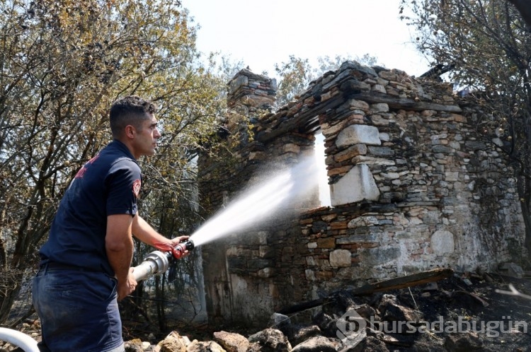 2 bin 500 yıllık antik kent küle döndü!