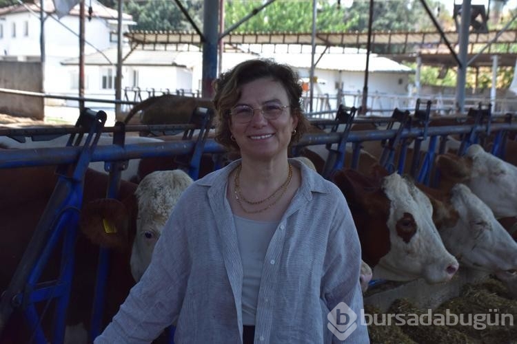 Veteriner çift buzağılarına tanıdık isimleri veriyor!