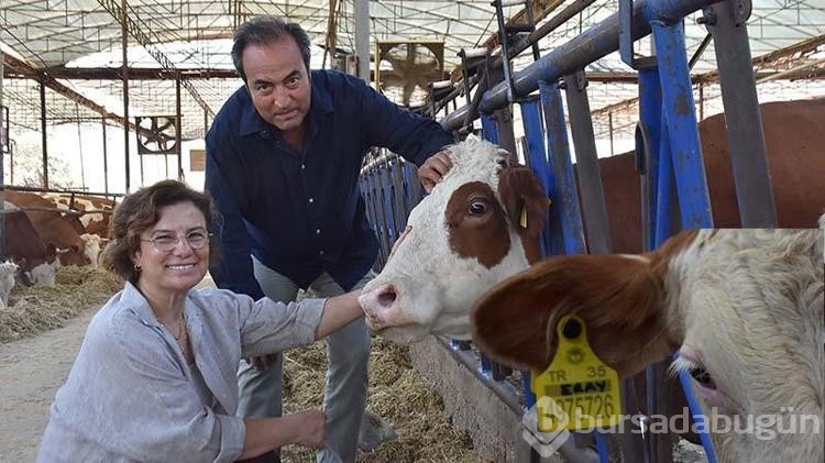 Veteriner çift buzağılarına tanıdık isimleri veriyor!