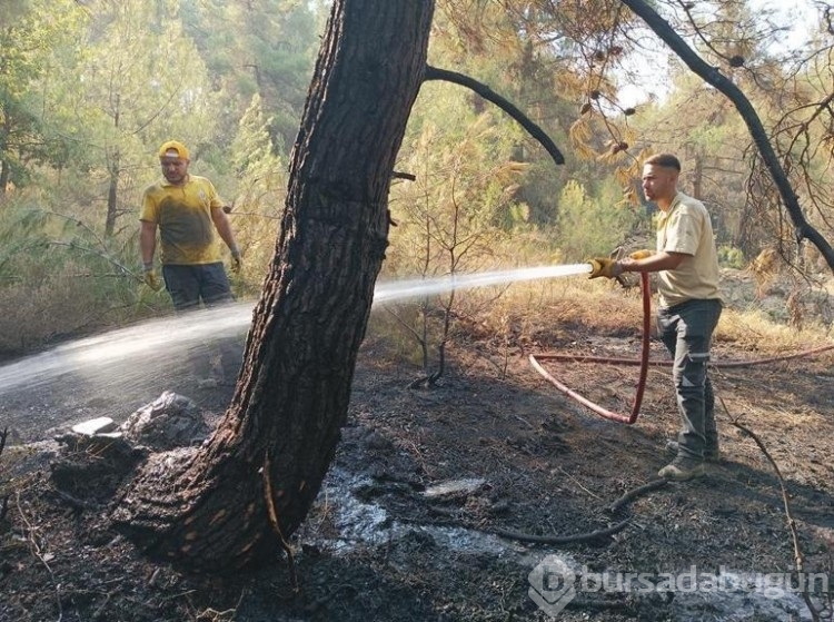 Bursa'da orman yangınlarıyla mücadele devam ediyor!