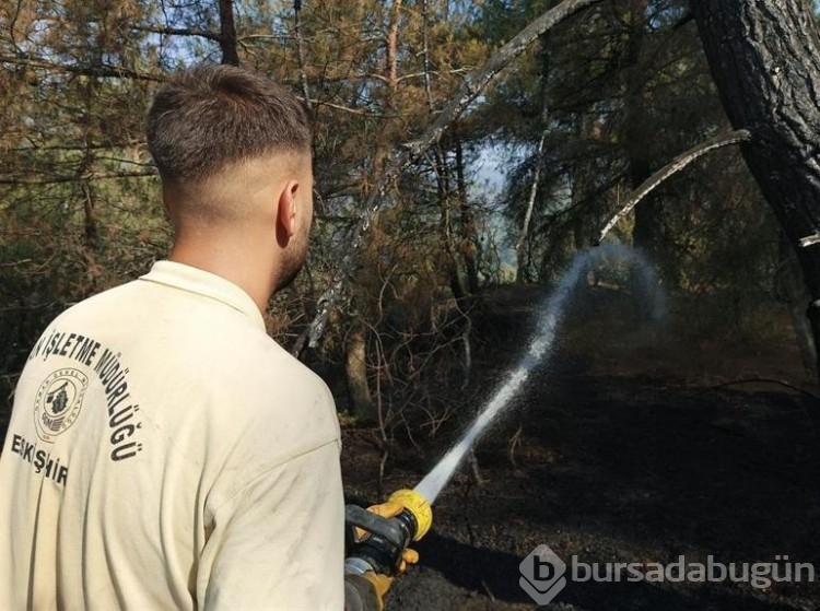 Bursa'da orman yangınlarıyla mücadele devam ediyor!