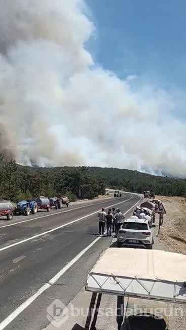 Bursa Orhaneli'de yangın devam ediyor! 