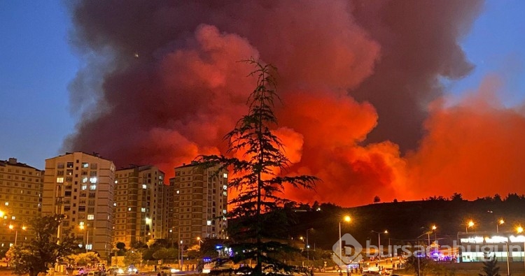 Bursa'da kıyamet günü gibi bir gece! Yangın anından görüntüler