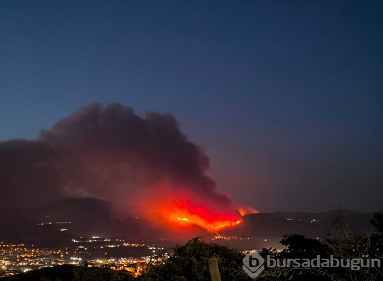 Bursa'da kıyamet günü gibi bir gece! Yangın anından görüntüler