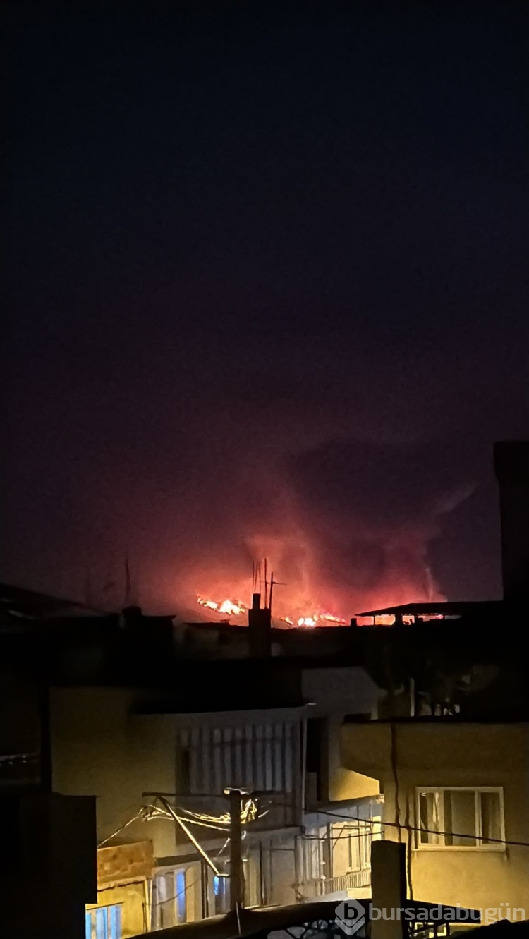 Bursa'da kıyamet günü gibi bir gece! Yangın anından görüntüler