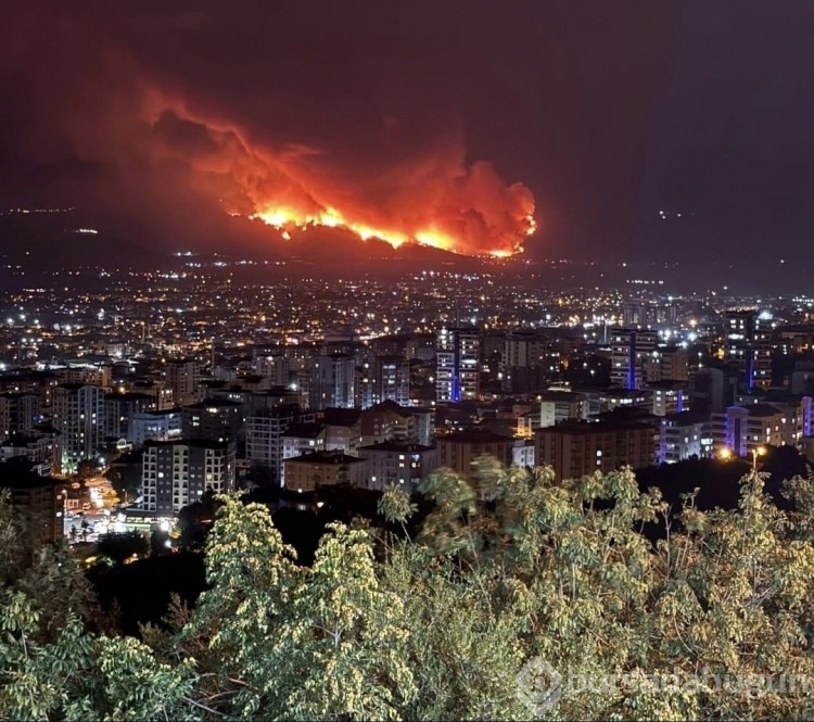Bursa'da kıyamet günü gibi bir gece! Yangın anından görüntüler
