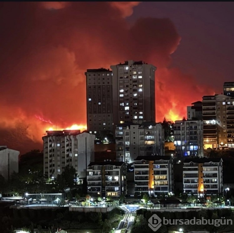 Bursa'da kıyamet günü gibi bir gece! Yangın anından görüntüler
