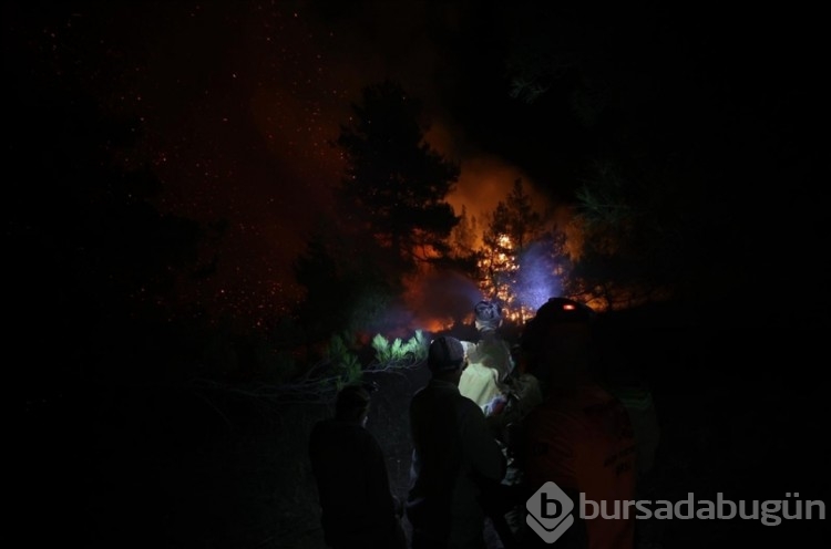 Türkiye yasta! Yurdun farklı noktalarında devam eden orman yangınlarına havadan ve karadan müdahale sürüyor