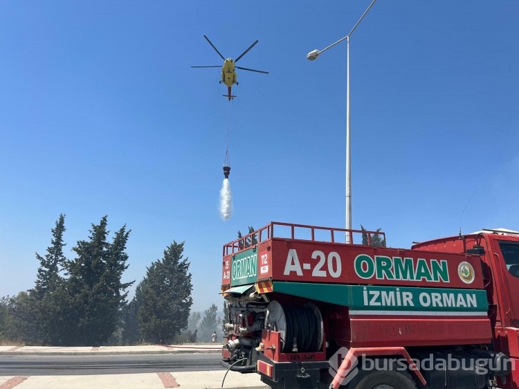 Bugün de İzmir'in iki ilçesinde yangın çıktı!