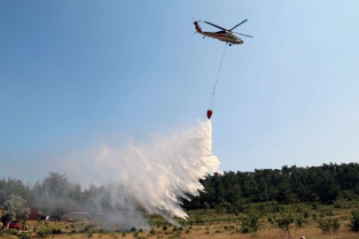 Bugün de İzmir'in iki ilçesinde yangın çıktı!