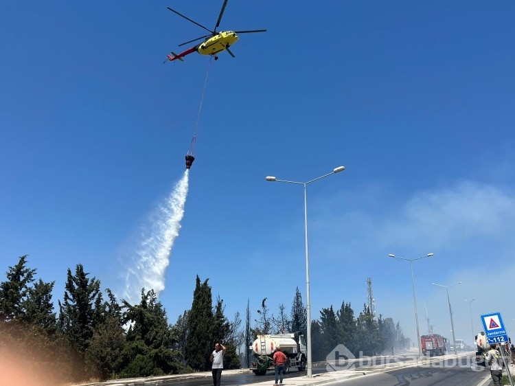Bugün de İzmir'in iki ilçesinde yangın çıktı!