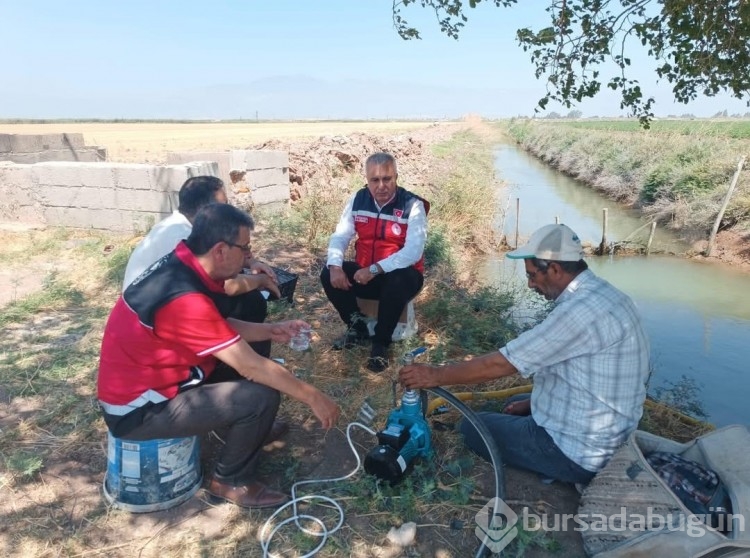 Hatay'da pamuk tarlaları incelendi