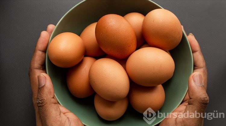 Hangisi daha sağlıklı? Beyaz mı, yoksa kahverengi yumurta mı