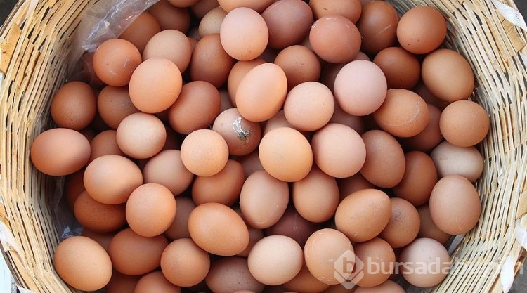 Hangisi daha sağlıklı? Beyaz mı, yoksa kahverengi yumurta mı
