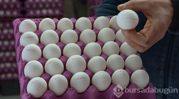 Hangisi daha sağlıklı? Beyaz mı, yoksa kahverengi yumurta mı