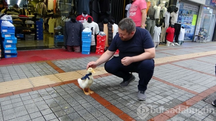  Çok şaşırttı, bu nereden geldi şimdi!