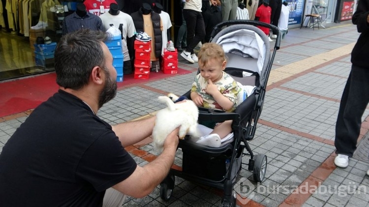  Çok şaşırttı, bu nereden geldi şimdi!