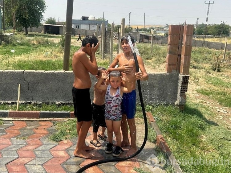 Hayat durdu!  "Sıcaktan gözlerimizi açamıyoruz"