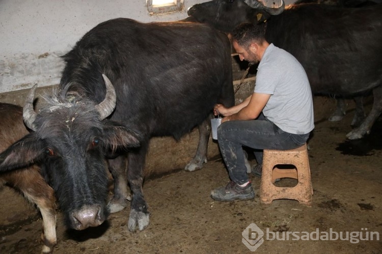İşinden istifa etti, 3 yıl önce köyüne döndü hayatı değişti!