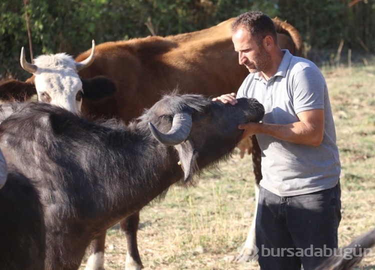 İşinden istifa etti, 3 yıl önce köyüne döndü hayatı değişti!