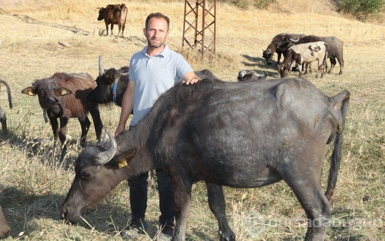 İşinden istifa etti, 3 yıl önce köyüne döndü hayatı değişti!