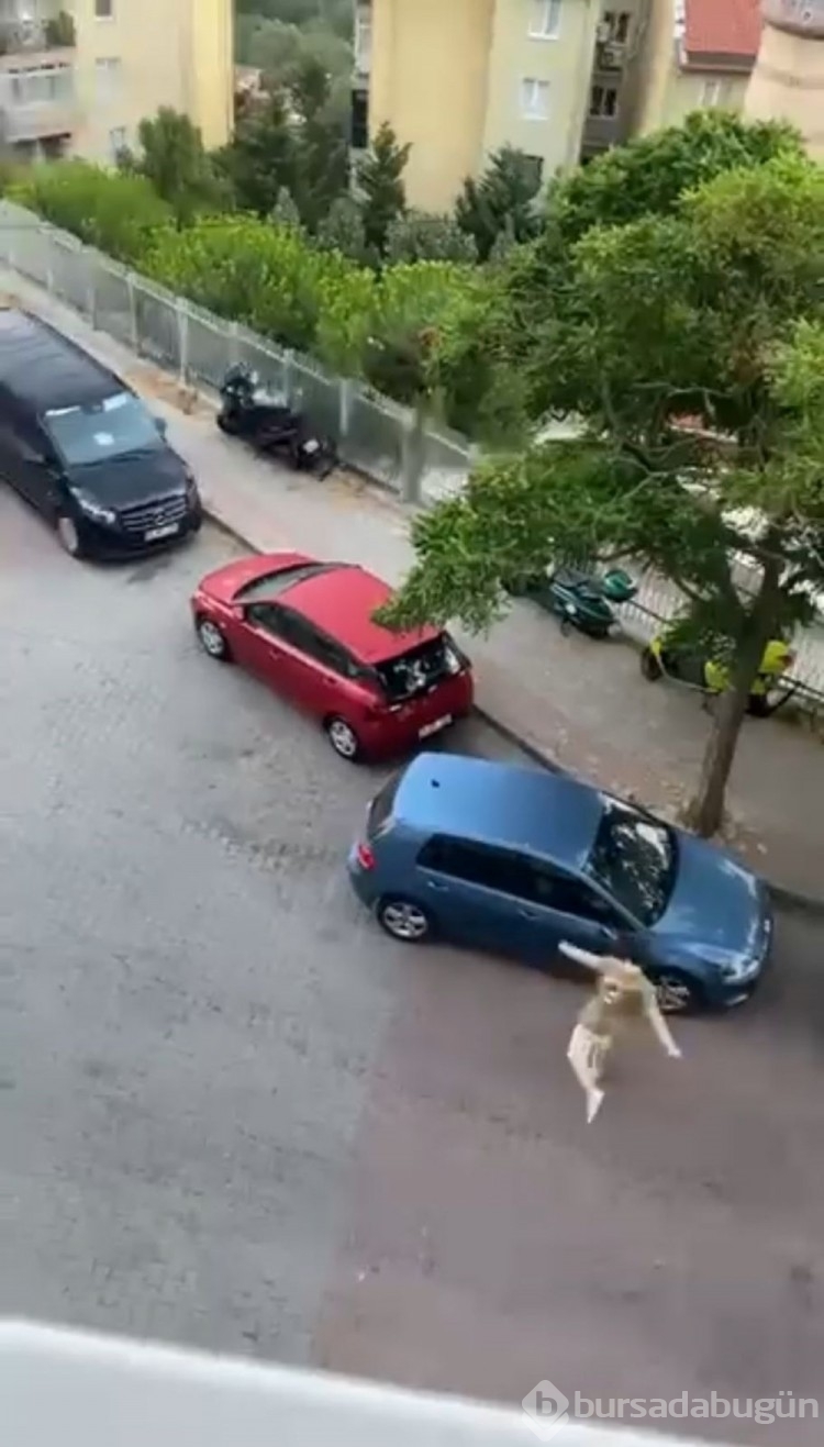 Kağıthane'de korku dolu anlar