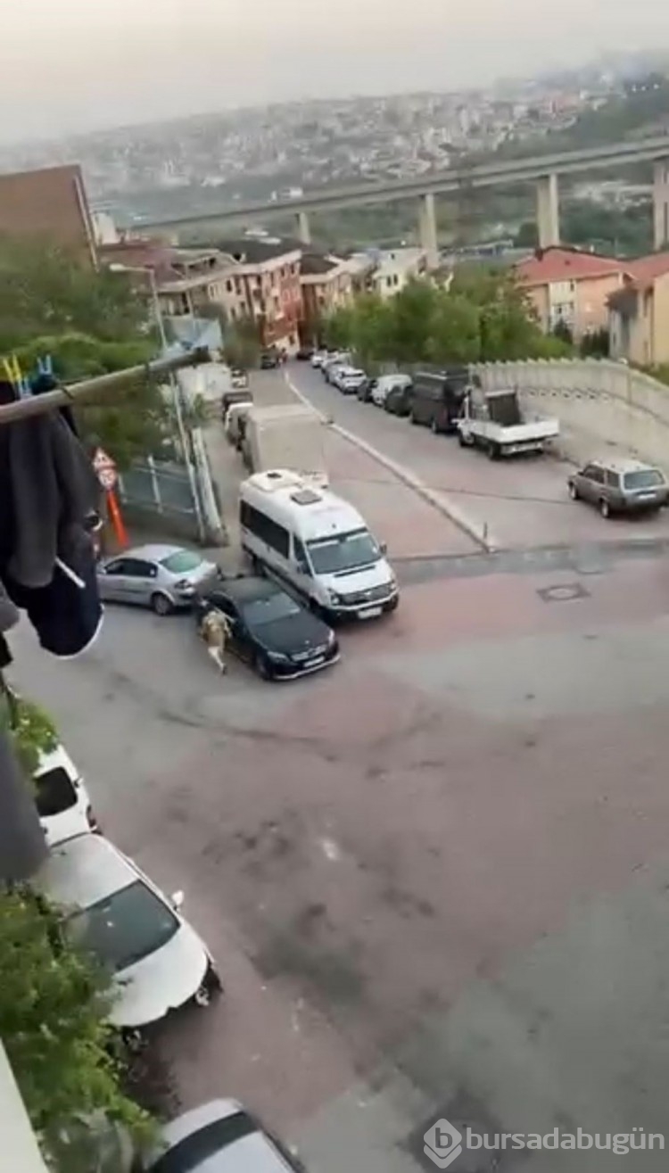 Kağıthane'de korku dolu anlar